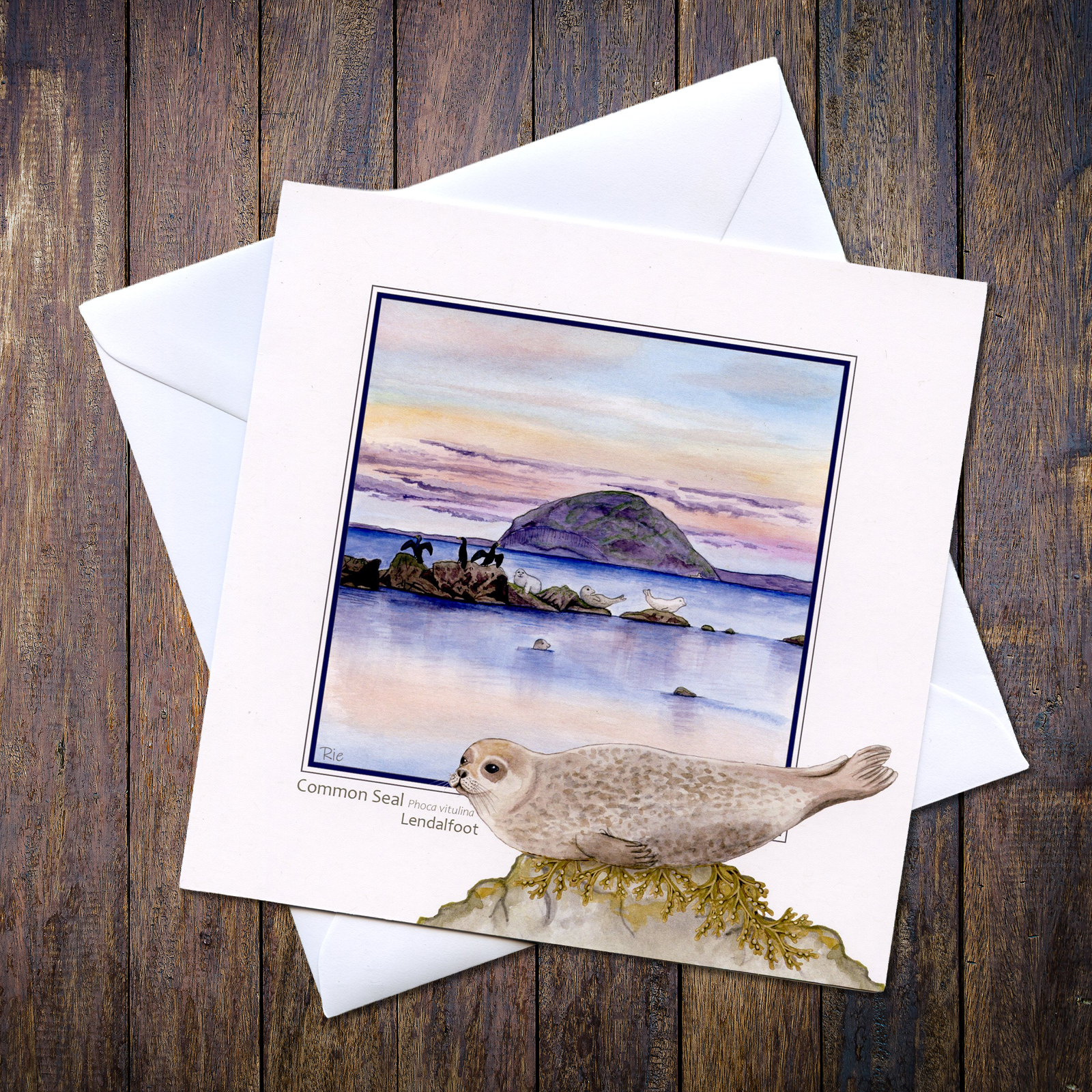 Common Seal Lendalfoot with Ailsa Greetings Card