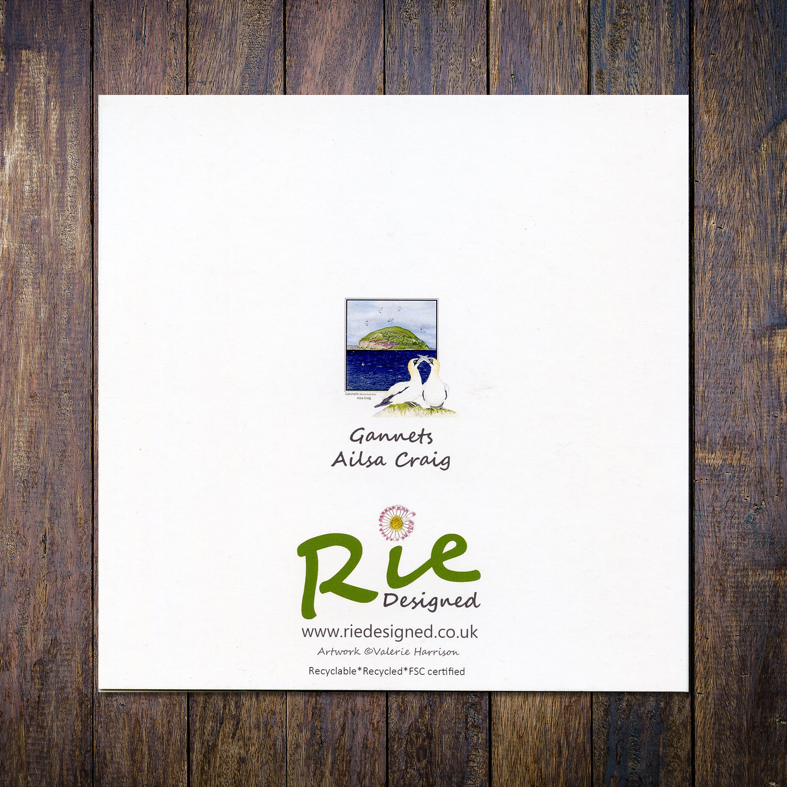 Gannets Ailsa Craig Greetings Card