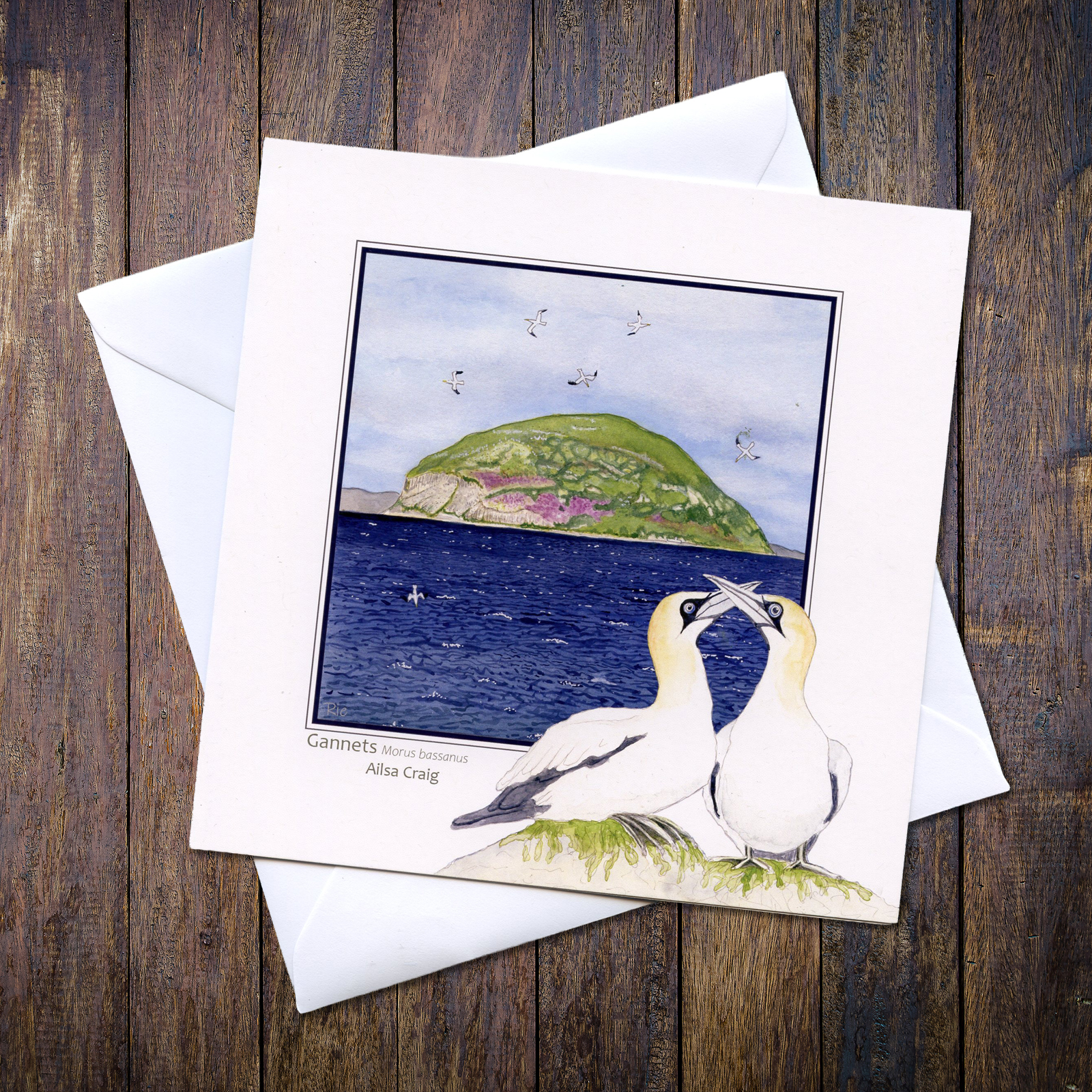 Gannets Ailsa Craig Greetings Card