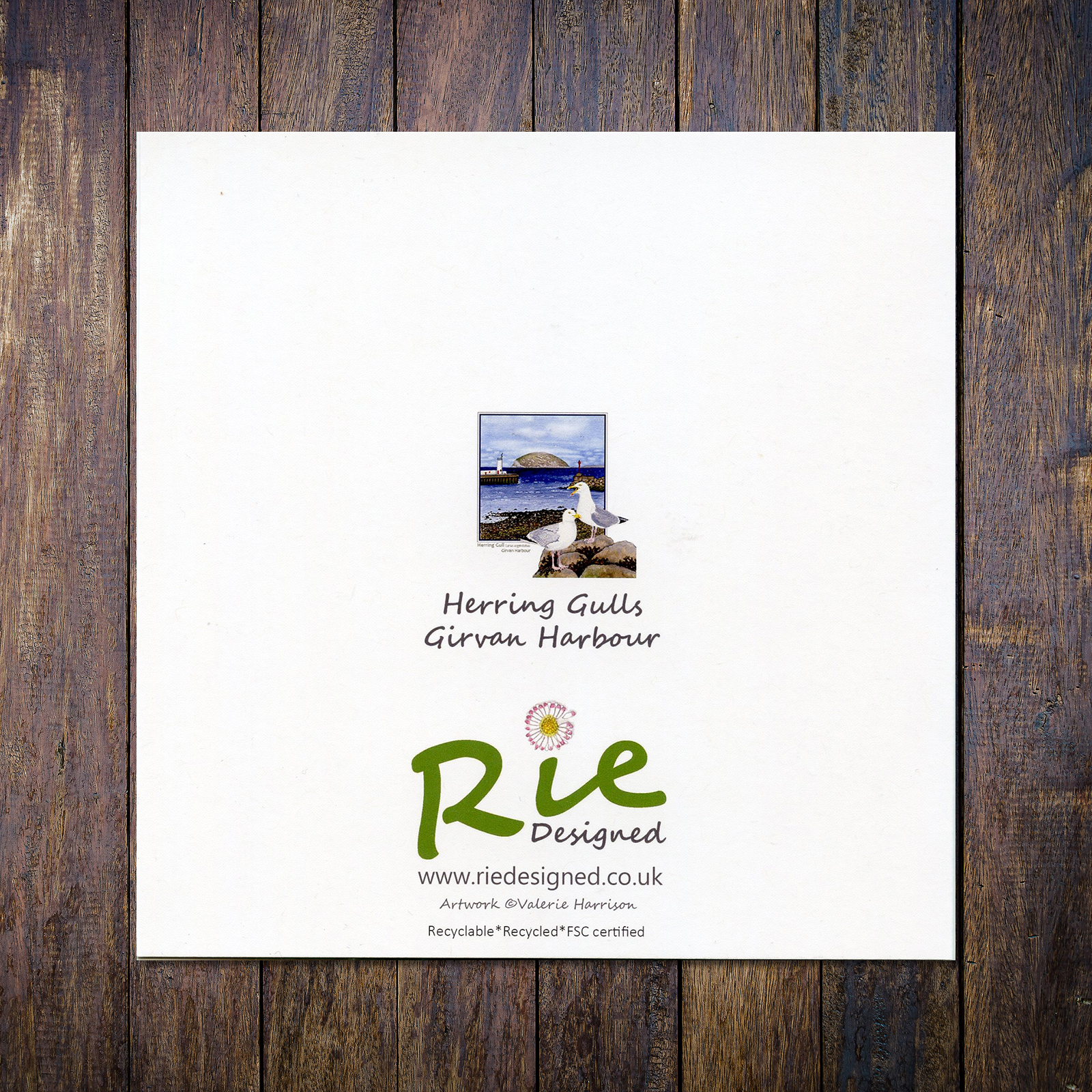 Herring Gull Girvan Harbour with Ailsa Greetings Card