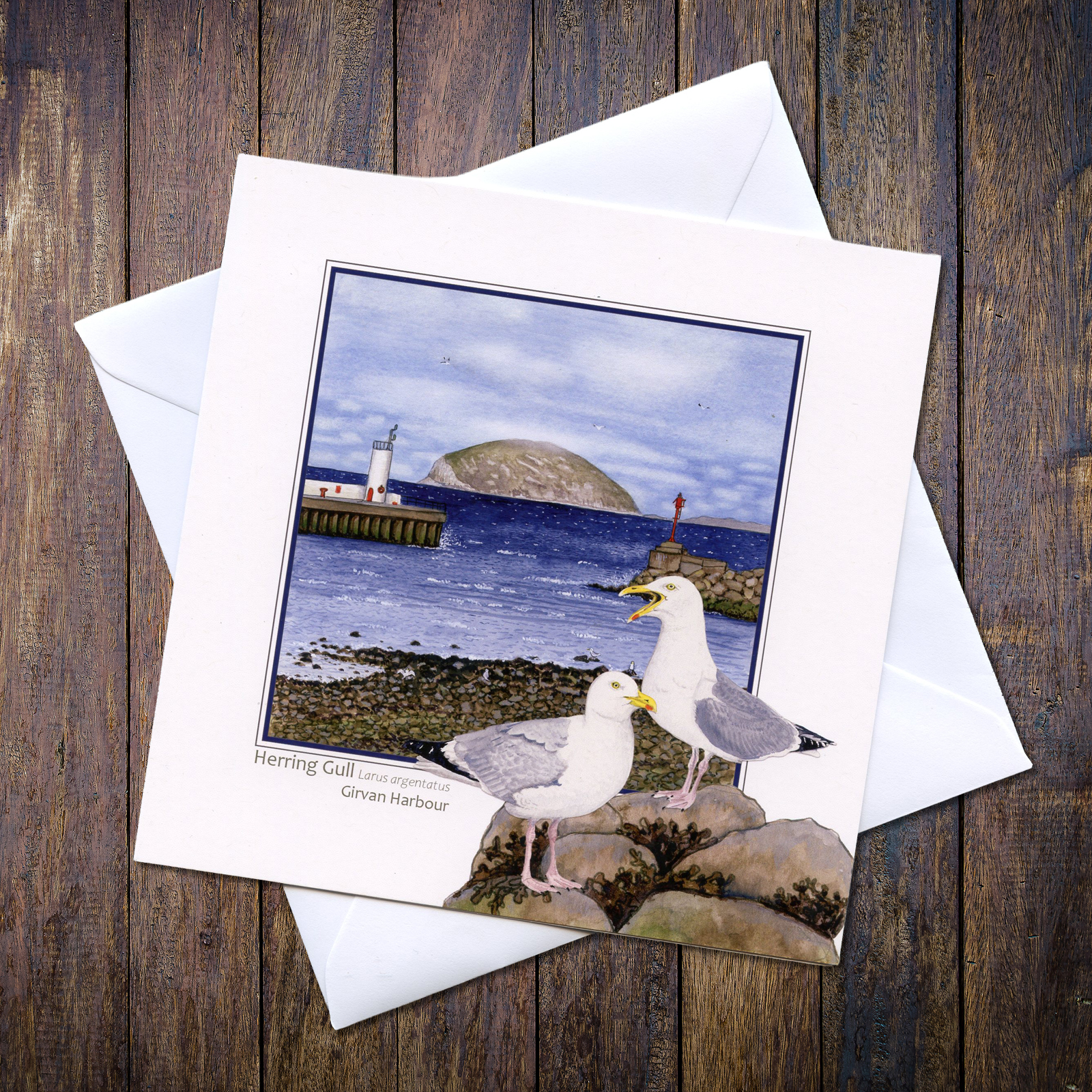 Herring Gull Girvan Harbour with Ailsa Greetings Card