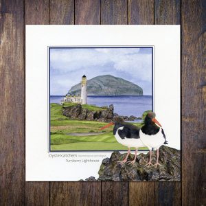 Oystercatchers Turnberry Lighthouse with Ailsa Greetings Card