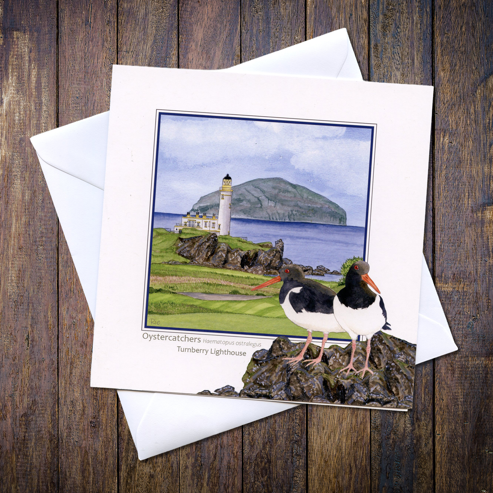Oystercatchers Turnberry Lighthouse with Ailsa Greetings Card