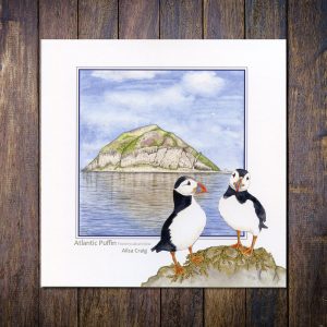 Puffins Ailsa Craig Greetings Card