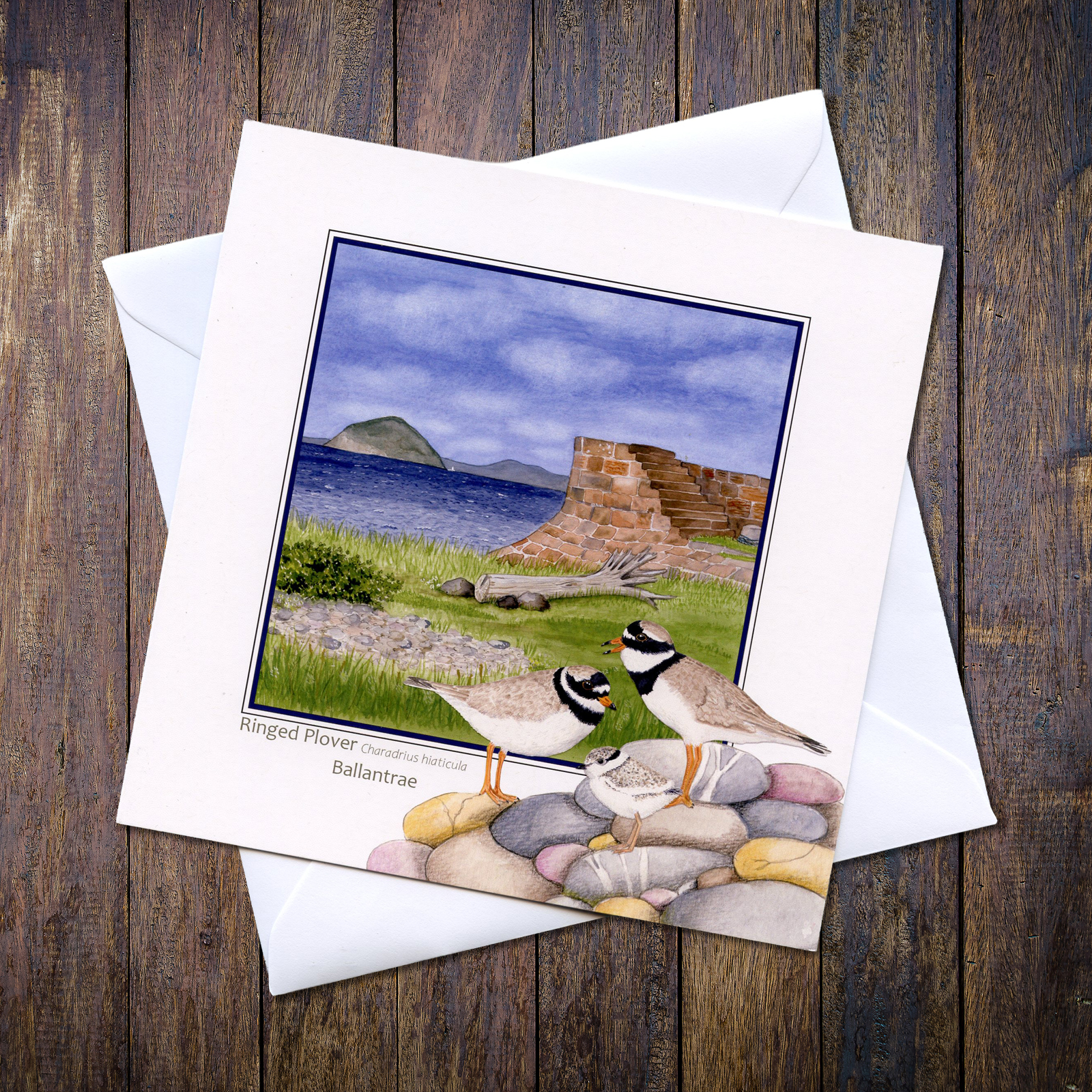 Ringed Plovers Ballantrae and Ailsa Craig Greetings Card