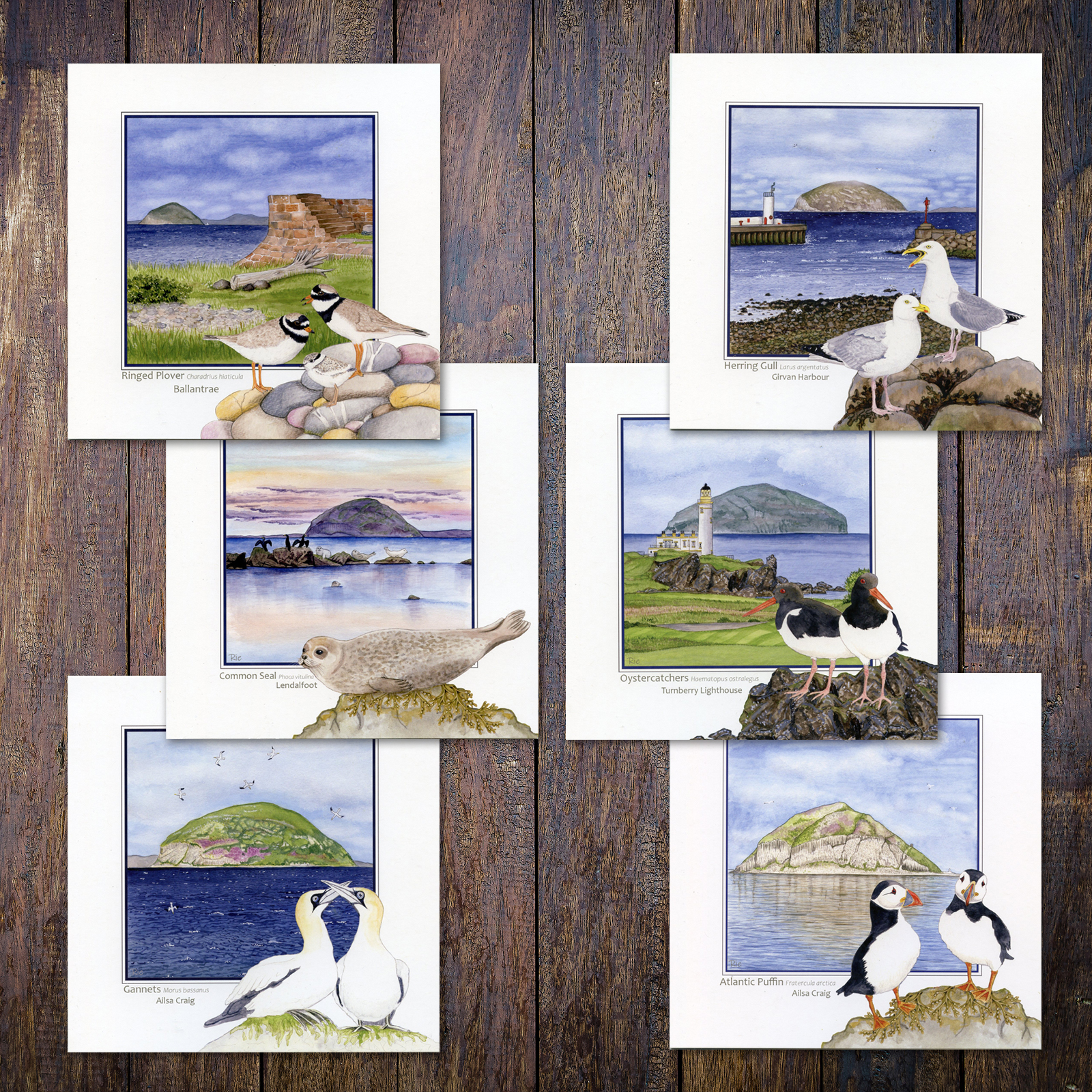 Set of 6 Ailsa Craig Ayrshire cards